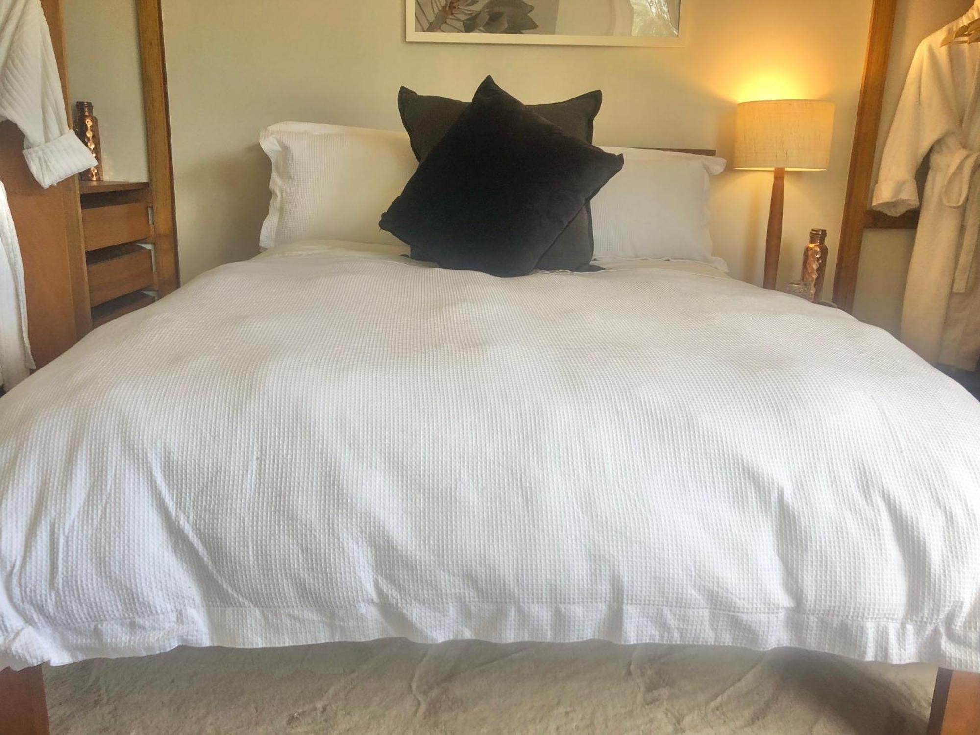 Lovely Budget Vegan Homestay Launceston Esterno foto